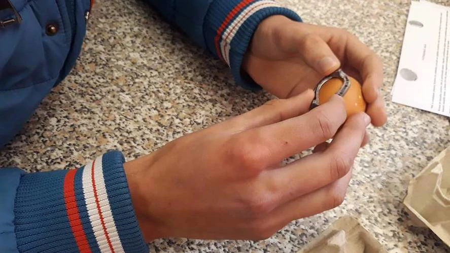 Potkivanje jaja (Foto: snimka zaslona)