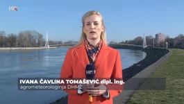 Ivana Čavlina Tomašević