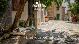 Find your Pomalo