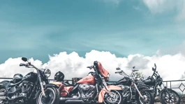 Harley Davidson