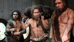 Iz postava  Muzeja krapinskih neandertalaca