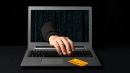 Porastao broj internetskih prijevara