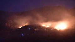 Požar na Biokovu, Foto: Matko Begovic /Pixsell