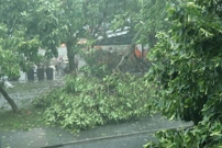 Nevrijeme u Zagrebu, Foto: Lovoro Domitrovic /PIXSELL