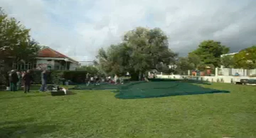 Obrana maslina stara 1500 godina