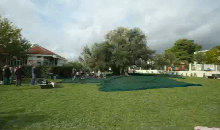 Obrana maslina stara 1500 godina