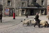 Subota, 13. prosinca na Prvom, Foto: U zelenim dolinama/6. sezona serije