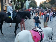 Odesa, Foto: Dragan Nikolić/HRT