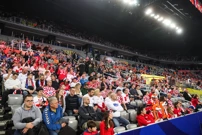 Navijači u Areni, Foto: Luka Stanzl/PIXSELL
