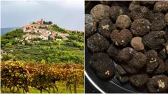 Tartufi ugroženi zbog klimatskih promjena