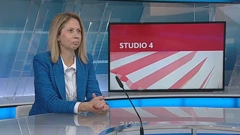 Profesorica Đana Luša
