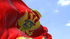 Zastava Crne Gore