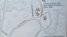 radovi