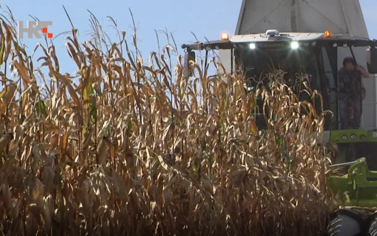 Je li GMO štetan za zdravlje?, Foto: HRT/HTV