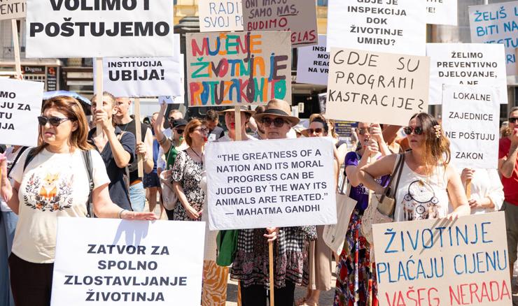Oman o zaštiti životinja: Sustav je zakazao, zakon se ne provodi