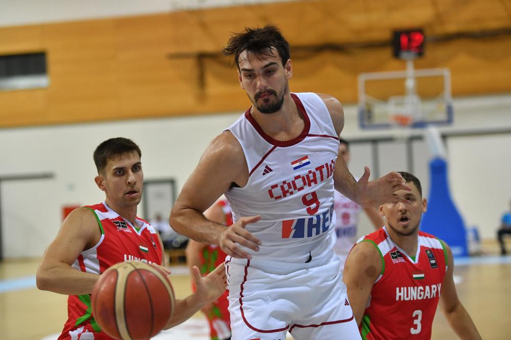 saric1 20250730193613