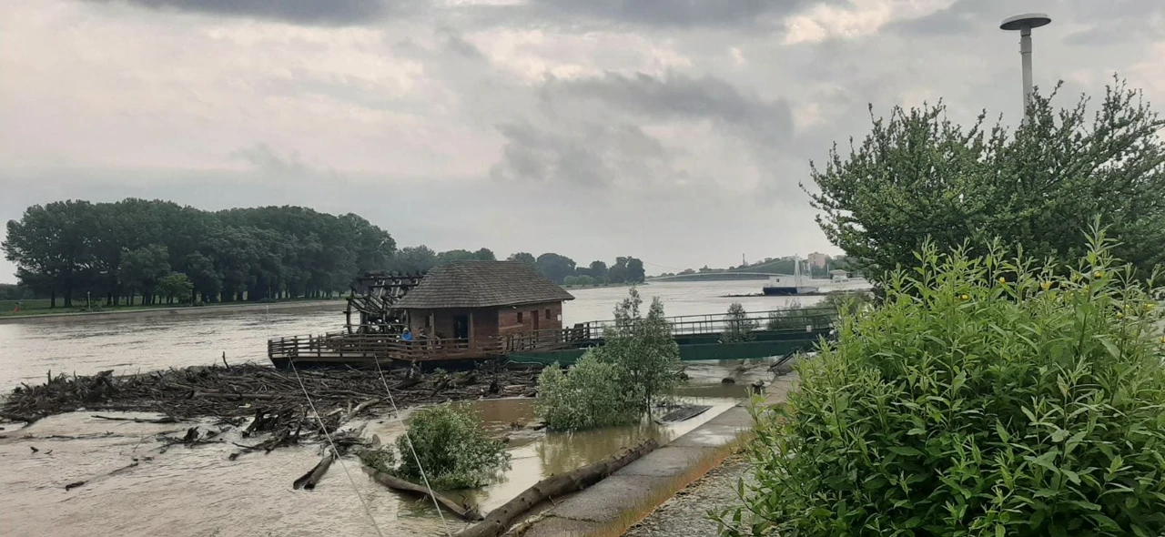 Zapuštena Vodenica u Osijeku, Foto: Matea Bartulović/Radio Osijek