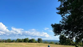 Banija