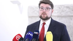 Peđa Grbin