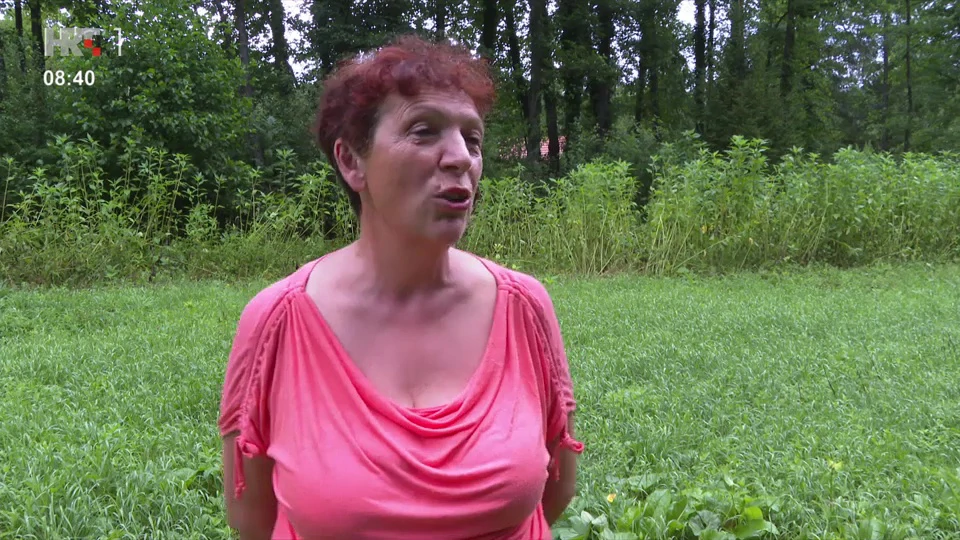 Ankica Komlenić