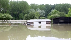  Sisak: Udruga za terapijsko i rekreacijsko jahanje "KAS" poplavljena je nakon pucanja nasipa
