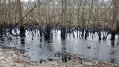 Kod Ježeva iz tla se izlila nafta