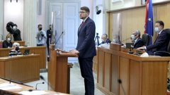 Peđa Grbin