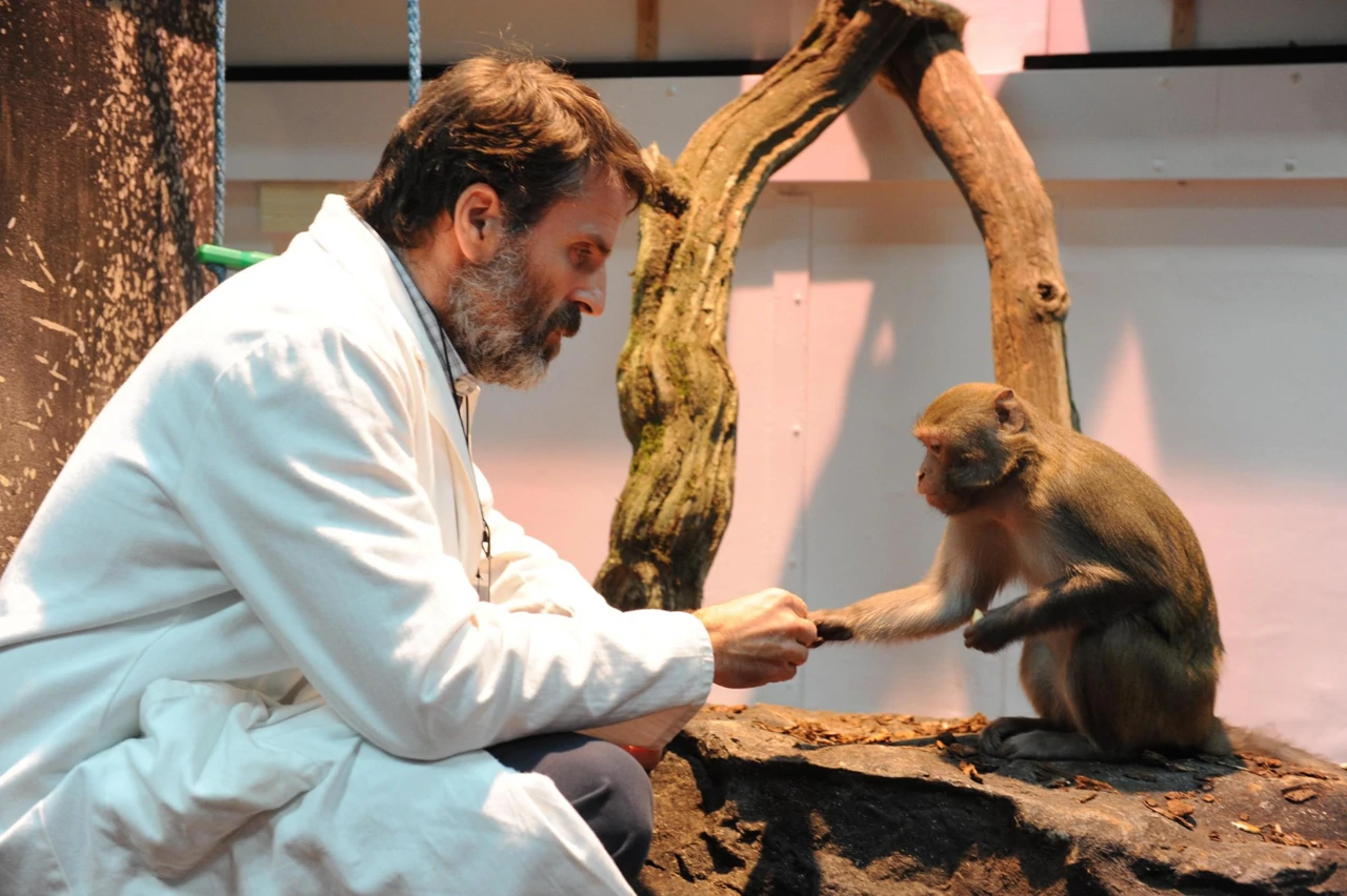 Ponedjeljak, 17. studenog na Drugom 