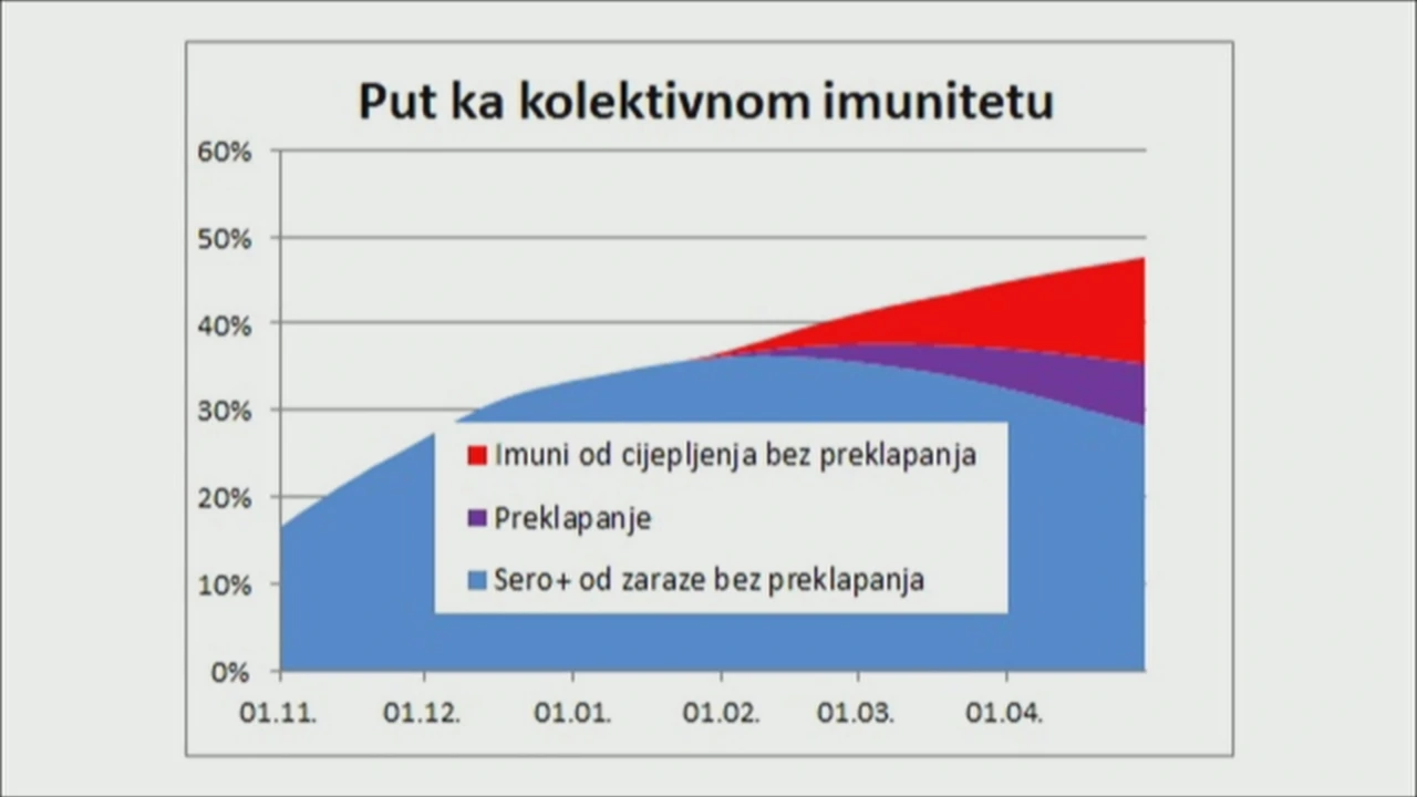 Put ka kolektivnom imunitetu