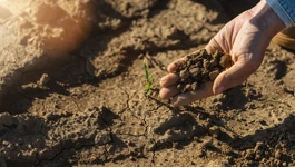 Tuče, suše i bolesti: Poljoprivrednici na udaru klimatskih promjena
