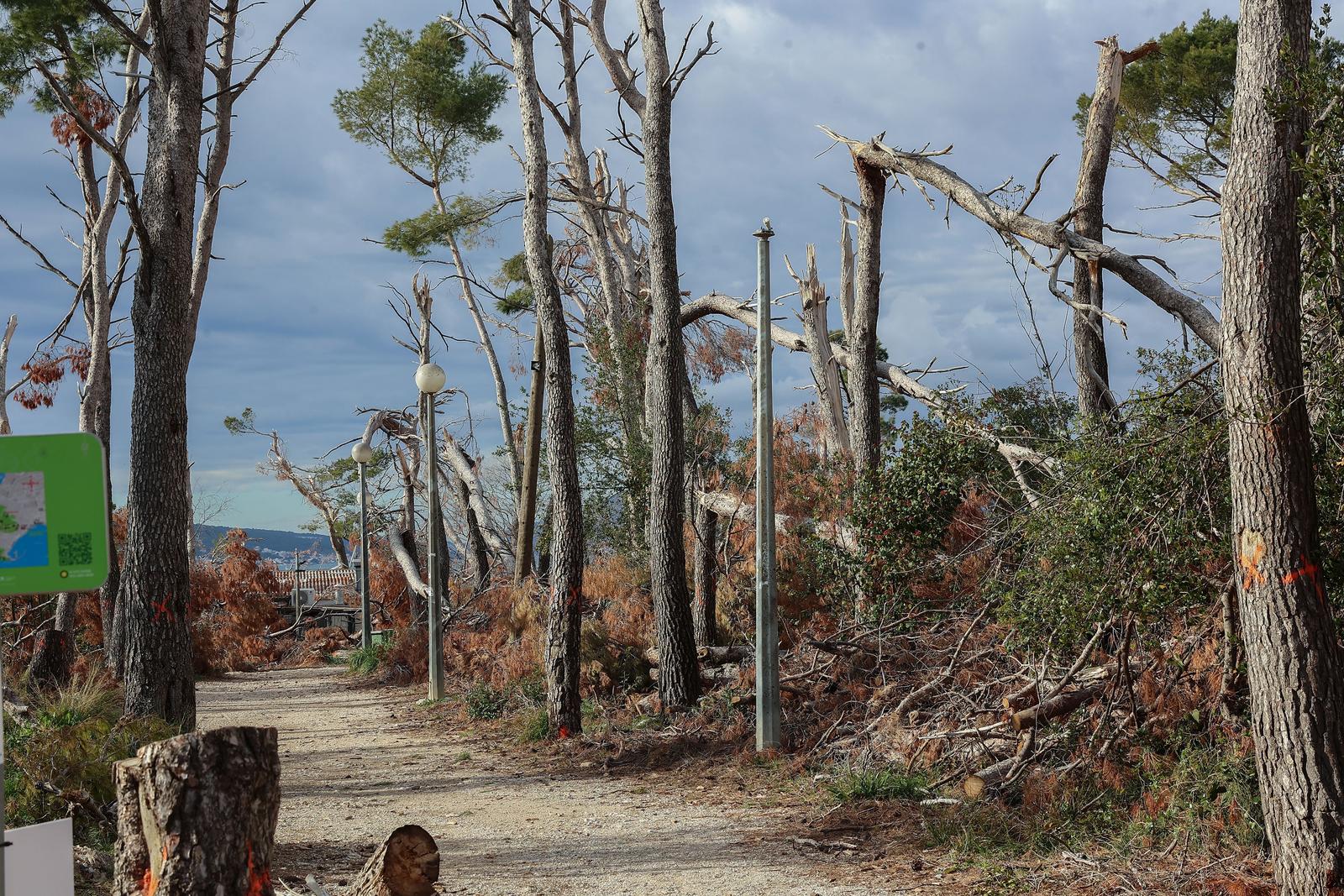 pxl 020126 144146474 20260305132245