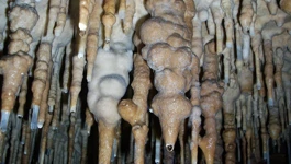 Speleologija