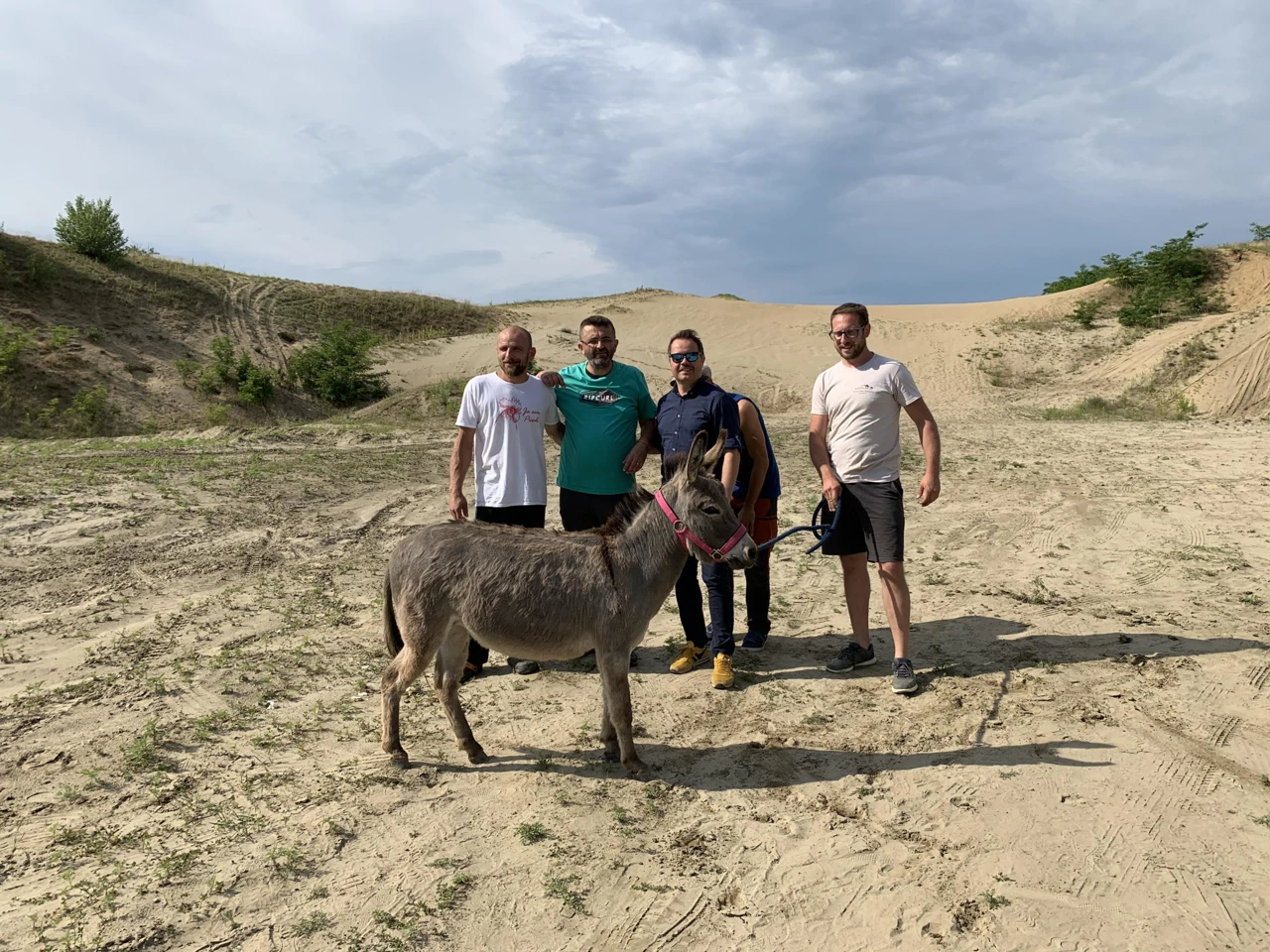 Iz epizode: Konji/magarci, Foto: Pametan kao kokoš, tvrdoglav kao magarac/serijal