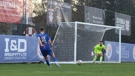 St Albans Dinamo FC