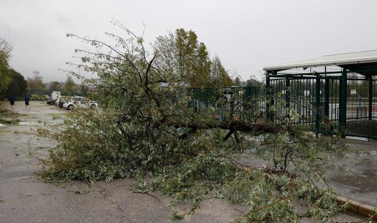 Nevrijeme u Sloveniji: Vjetar nosio krovove, rušio drveće