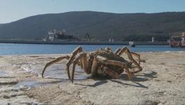 Na creskoj rivi