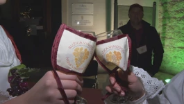 Vikend uoči Martinja obilježen krštenjem mladog vina