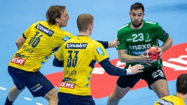 Nexe - Rhein Neckar Loewen