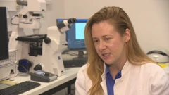 dr. Jelena Godrijan uz pomoć EMBO potpore istražuje kokolitoforide