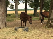 Ökopark Krašograd, Foto: Antunela Rajič/-