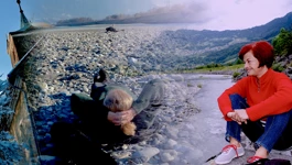 Razglednica iz Martinca - dnevnik jednog povratnika (45. dio)