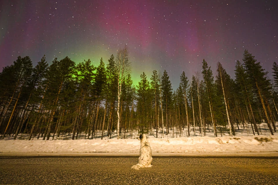 Ena i Aurora Borealis u Finskoj 