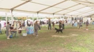 Osijek domaćin Slavonija Dog Showa: 2200 pasa iz 25 zemalja