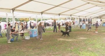 Osijek domaćin Slavonija Dog Showa: 2200 pasa iz 25 zemalja