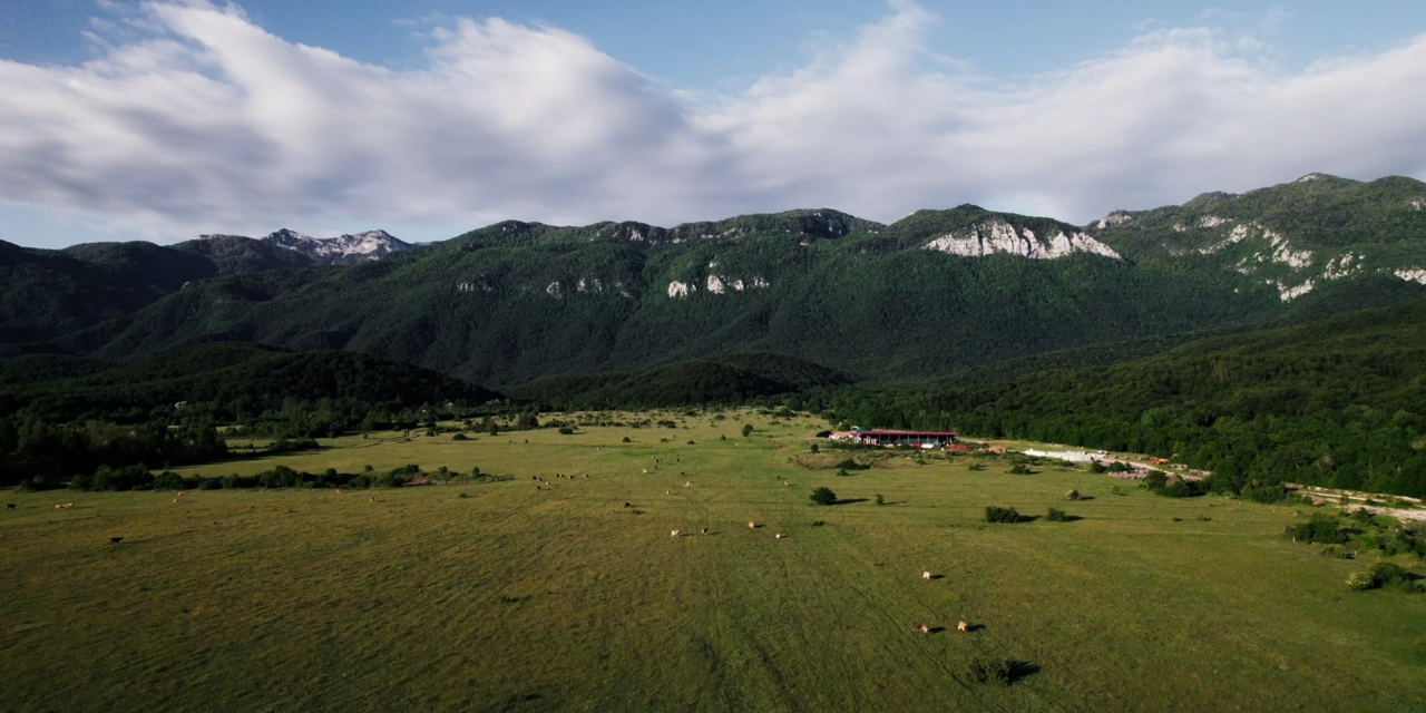 Ponedjeljak, 2. prosinca na Prvom