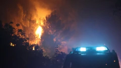 Požar na Braču , Foto: Ivo Cagalj/PIXSELL