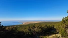 Mještani otkrili nešto nevjerojatno na obali – stručnjaci odmah reagirali!