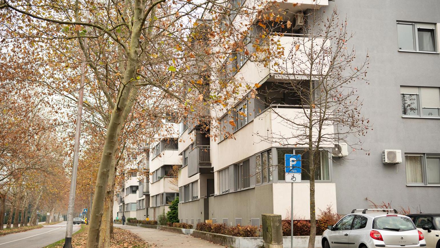 pxl 011225 142769343 20260223122511