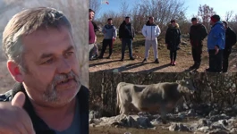 Stočari s vrličkog područja