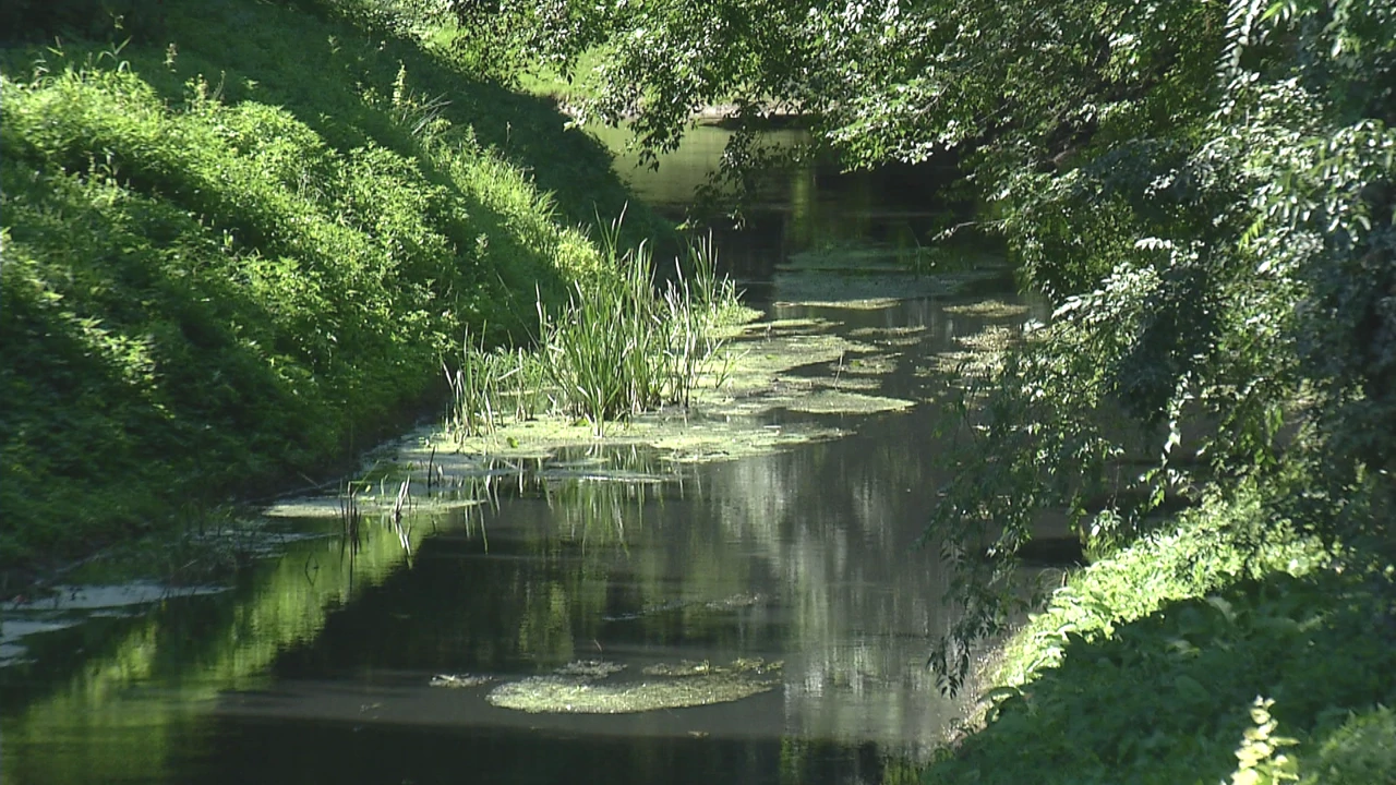 Karašica, Foto: Regionalni dnevnik/HRT